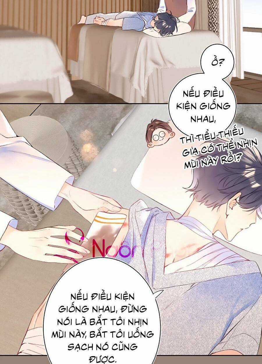 Đừng Khóc - Chapter 102 - Trang 4