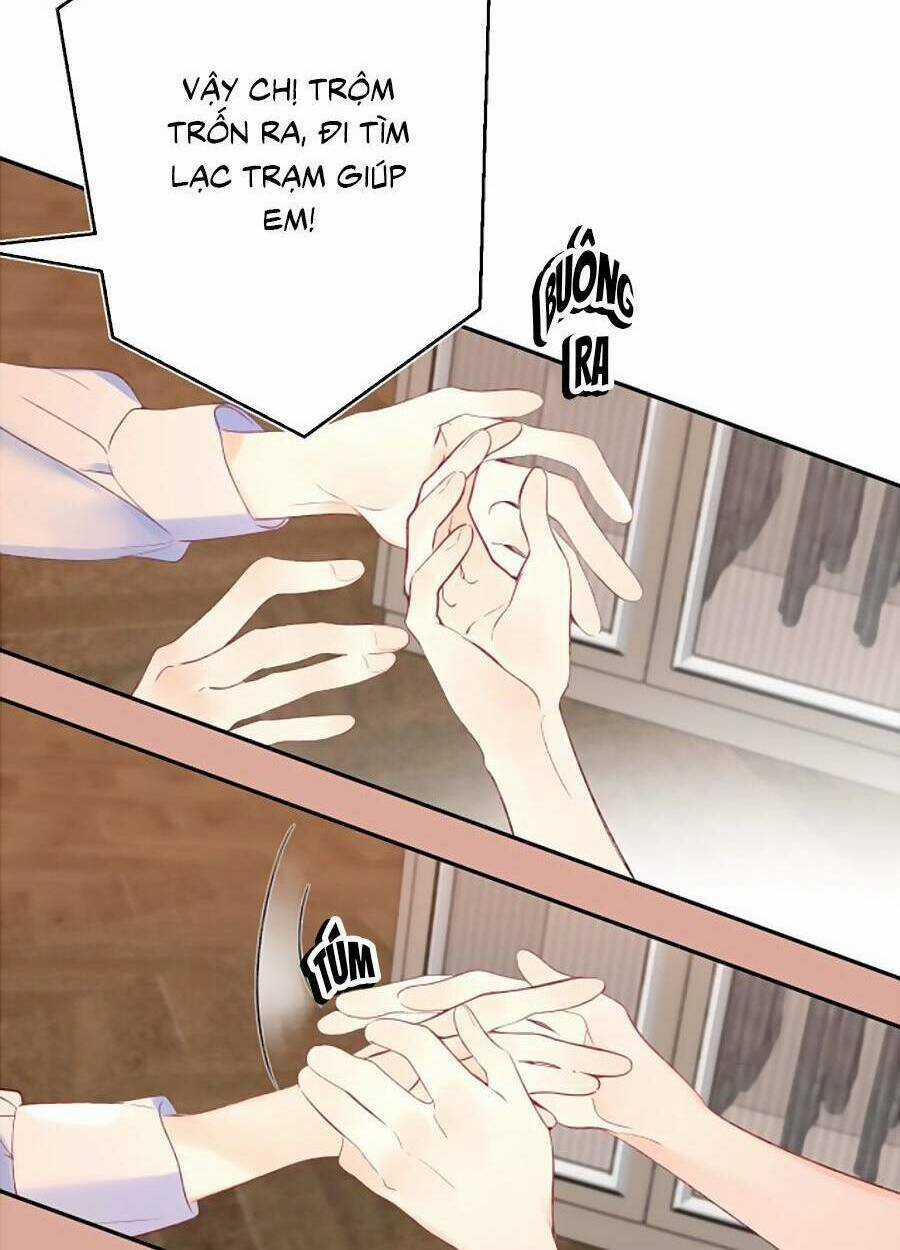 Đừng Khóc - Chapter 106 - Trang 17