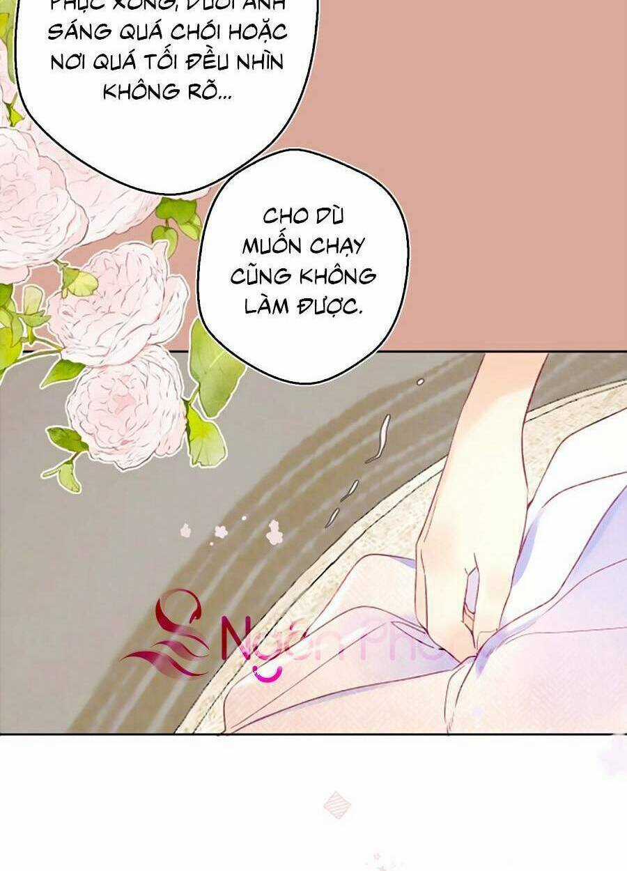 Đừng Khóc - Chapter 106 - Trang 22