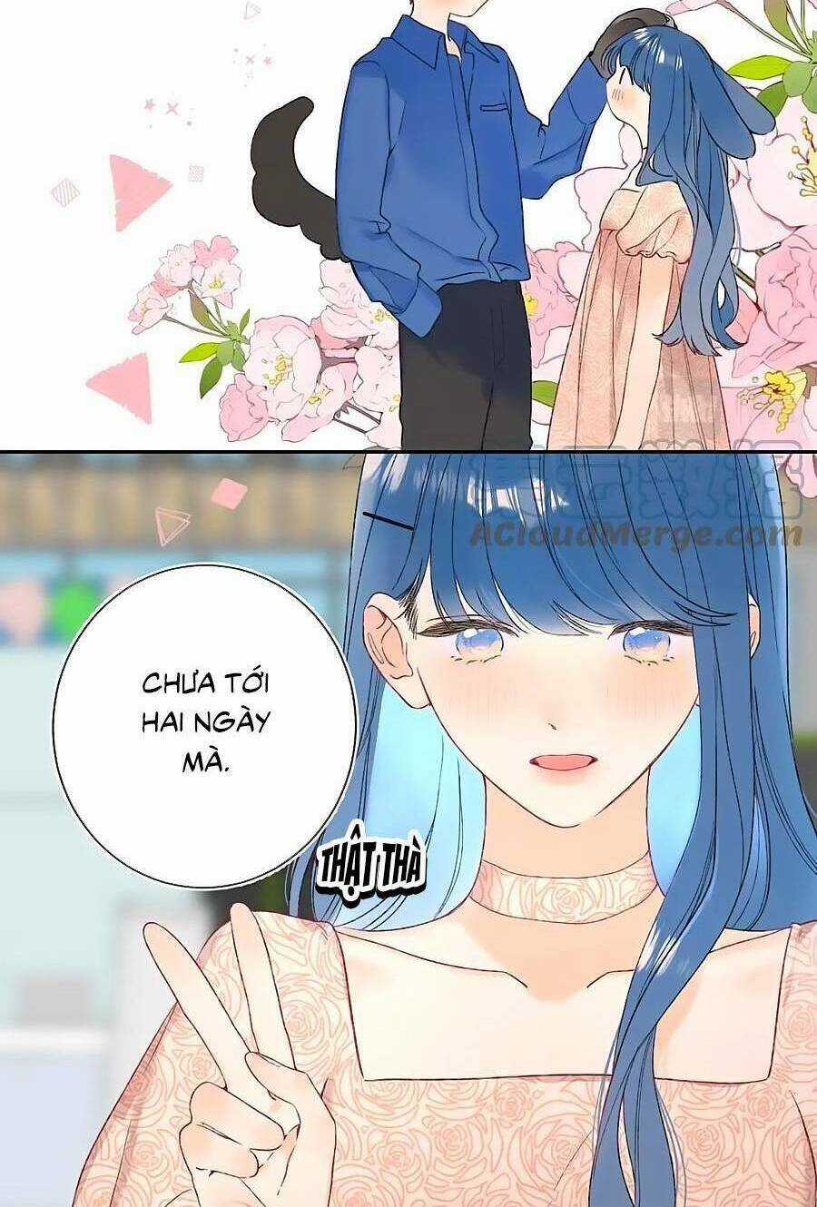 Đừng Khóc - Chapter 113 - Trang 33