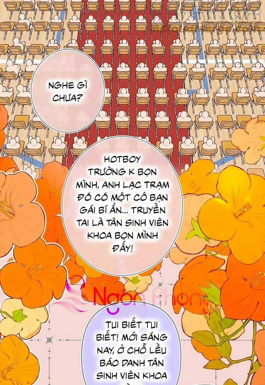 Đừng Khóc - Chapter 114 - Trang 3