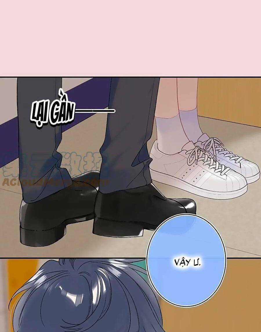 Đừng Khóc - Chapter 114 - Trang 26