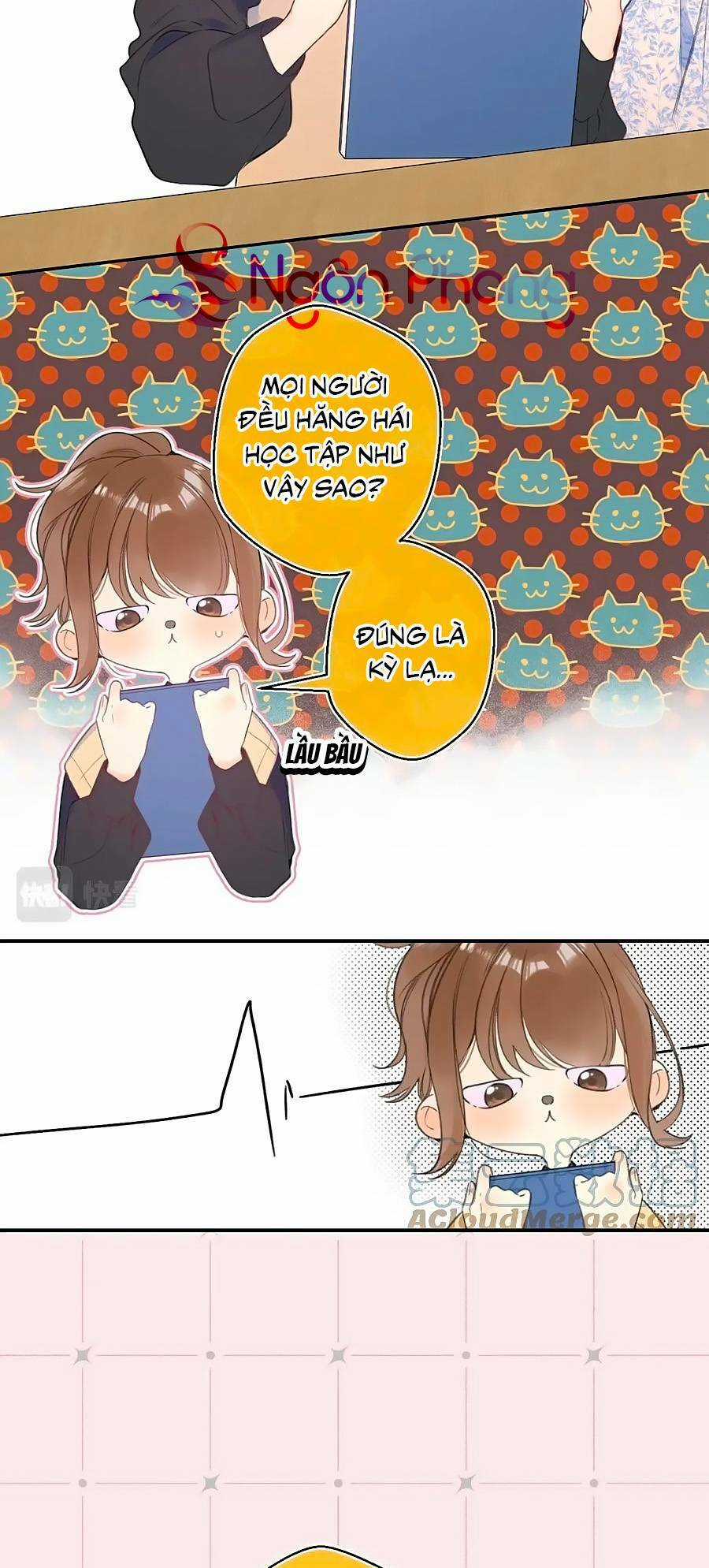 Đừng Khóc - Chapter 115.8 - Trang 2