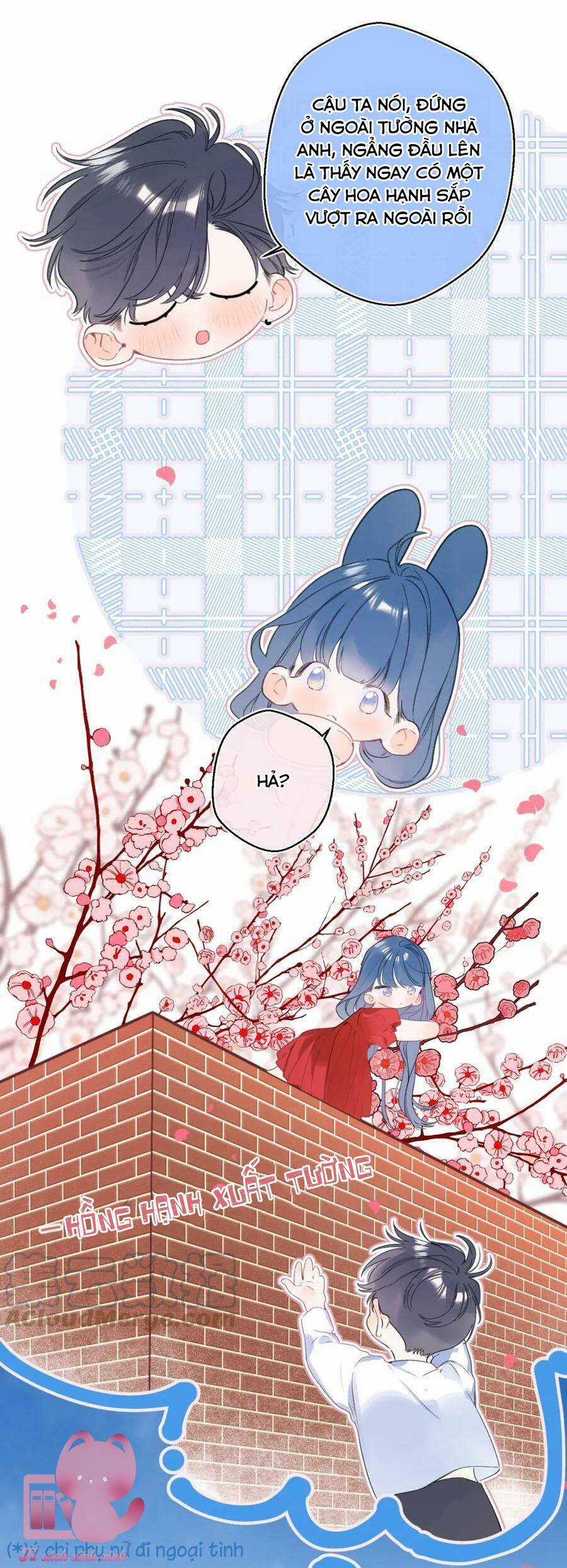 Đừng Khóc - Chapter 120 - Trang 17