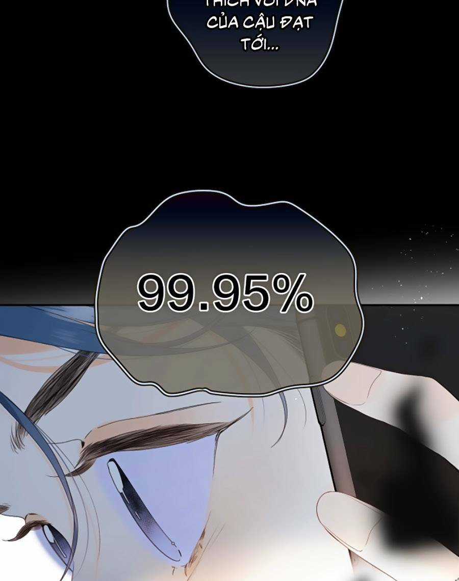 Đừng Khóc - Chapter 68 - Trang 18