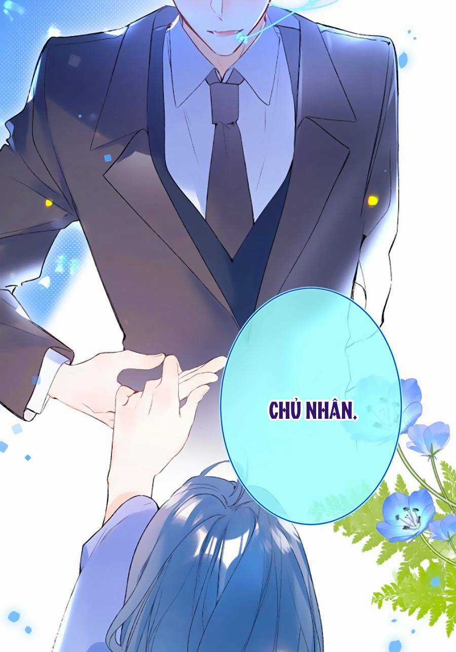 Đừng Khóc - Chapter 81 - Trang 41