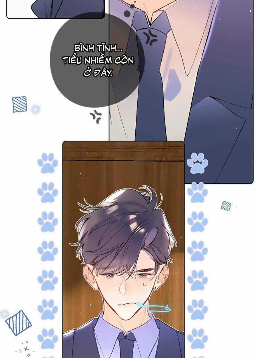 Đừng Khóc - Chapter 82 - Trang 3