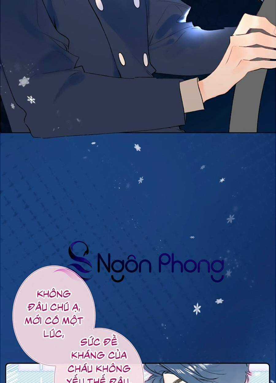 Đừng Khóc - Chapter 85 - Trang 3