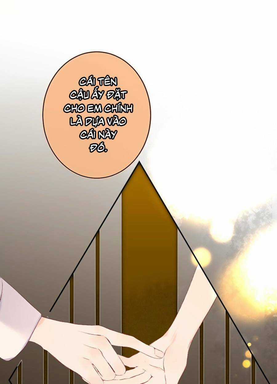 Đừng Khóc - Chapter 95 - Trang 11