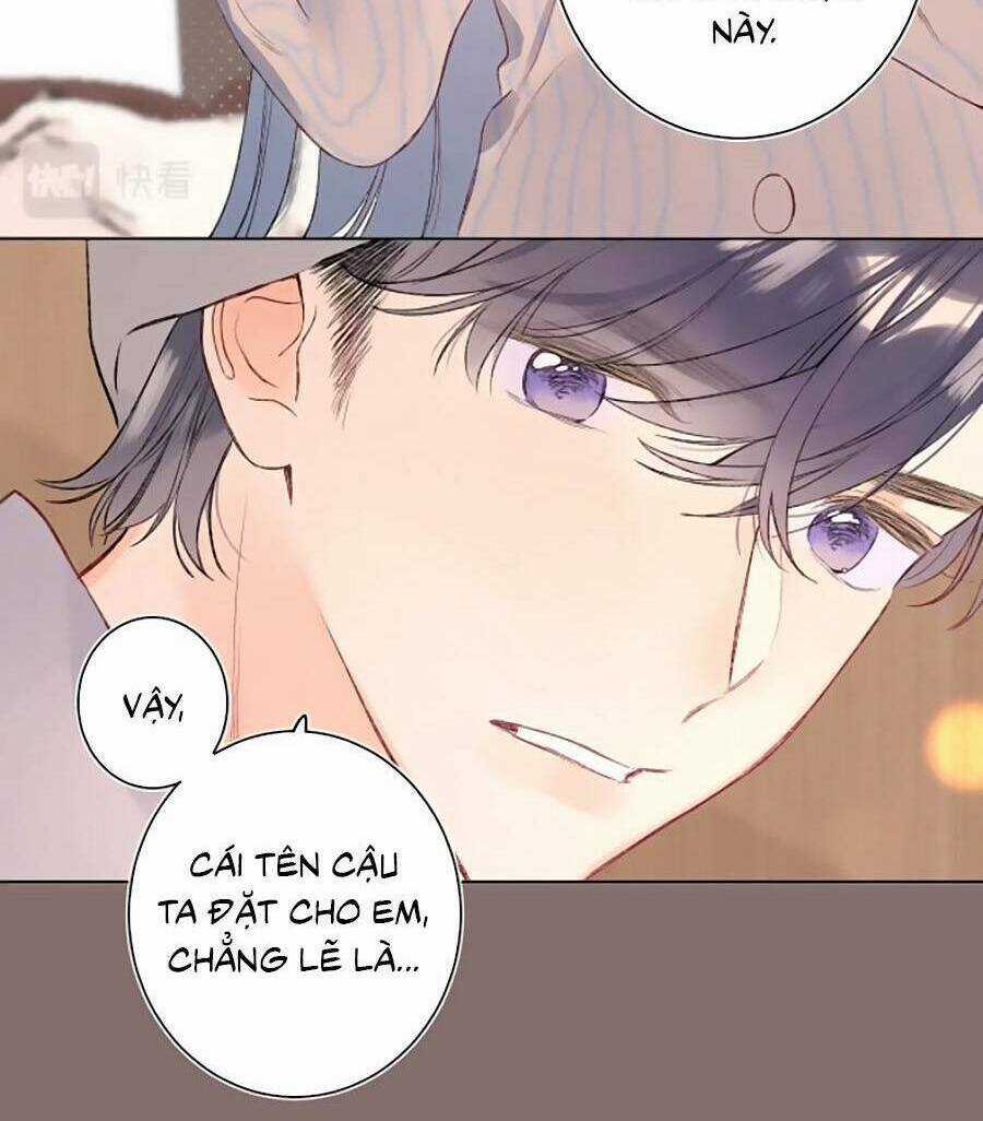 Đừng Khóc - Chapter 95 - Trang 5