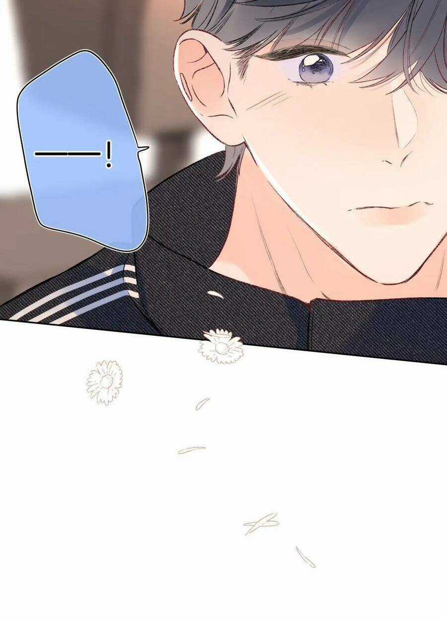 Đừng Khóc - Chapter 97 - Trang 44