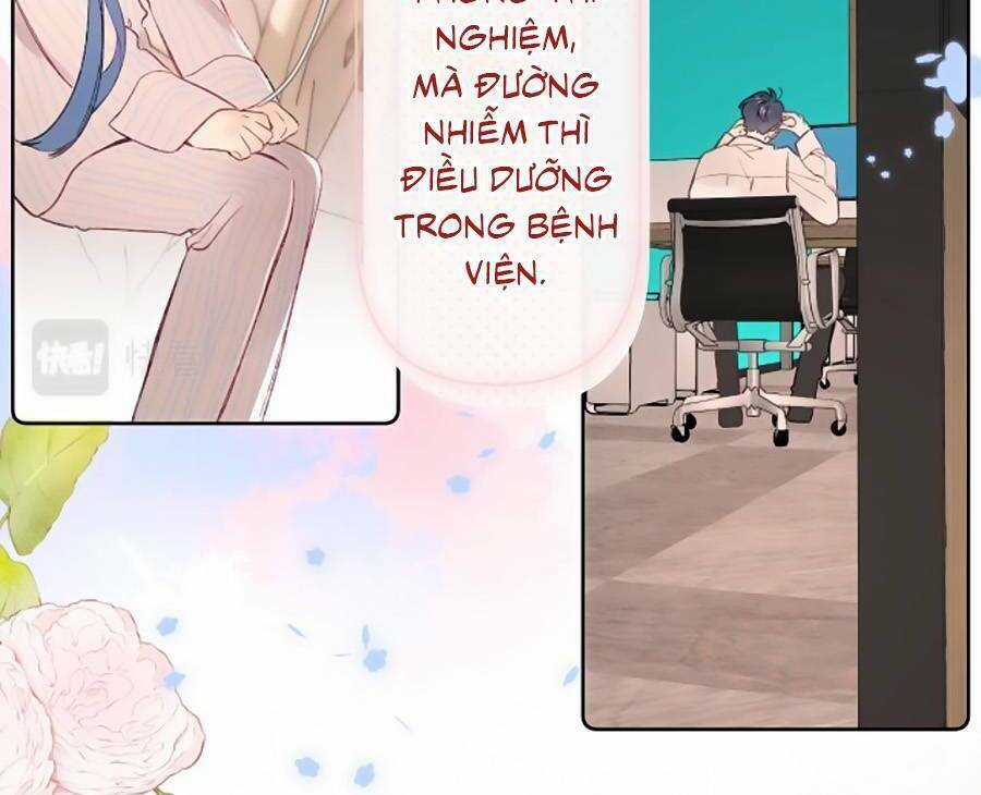 Đừng Khóc - Chapter 98 - Trang 11