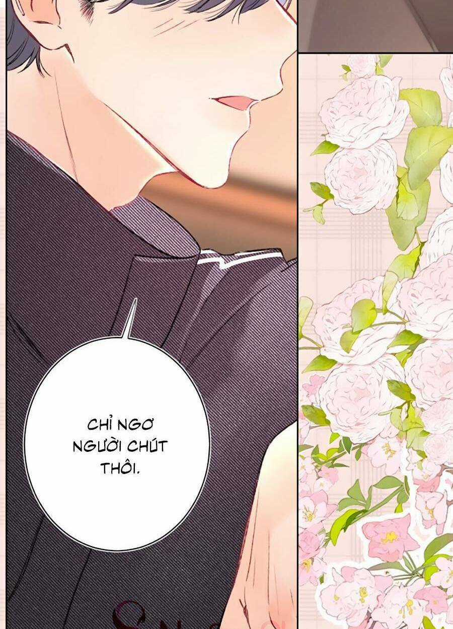 Đừng Khóc - Chapter 98 - Trang 4