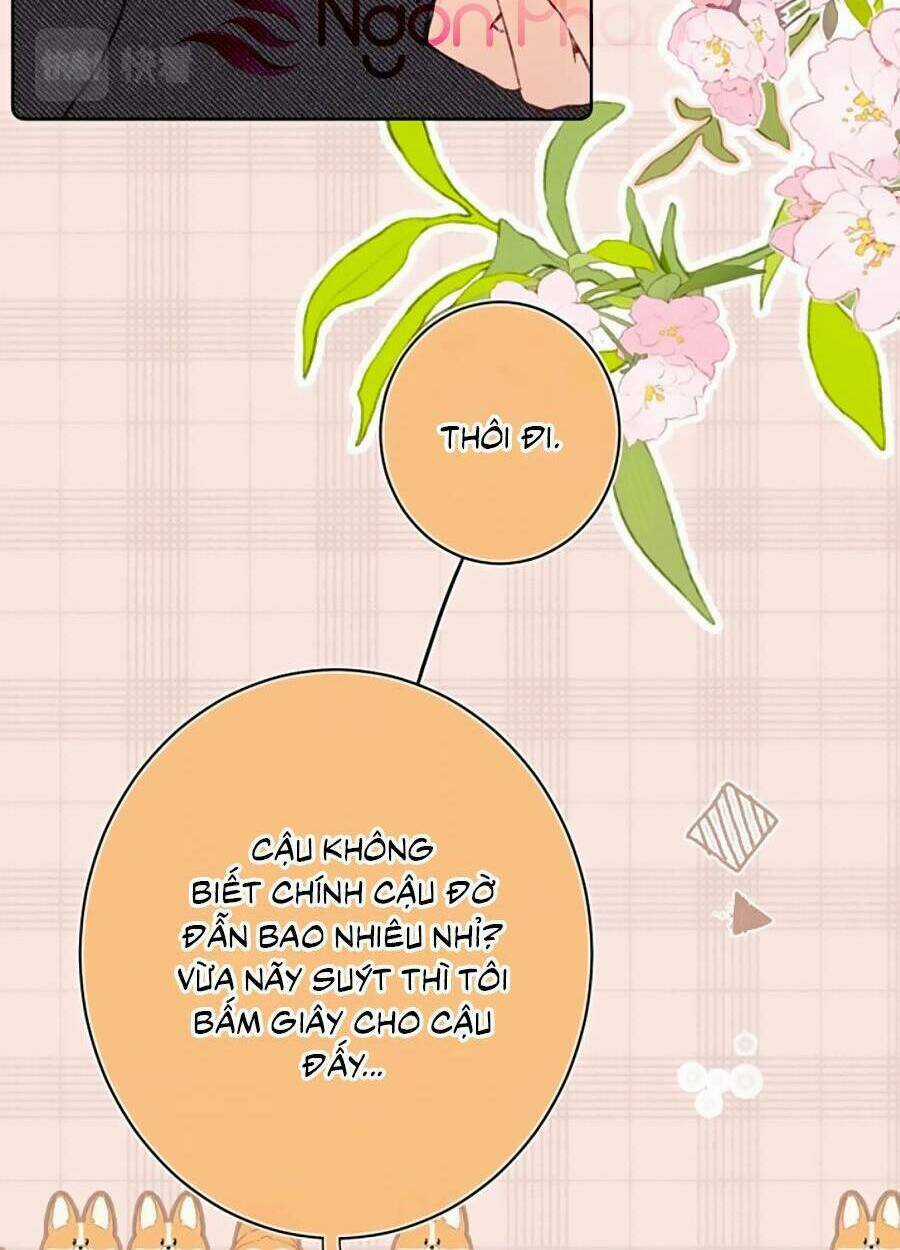 Đừng Khóc - Chapter 98 - Trang 5