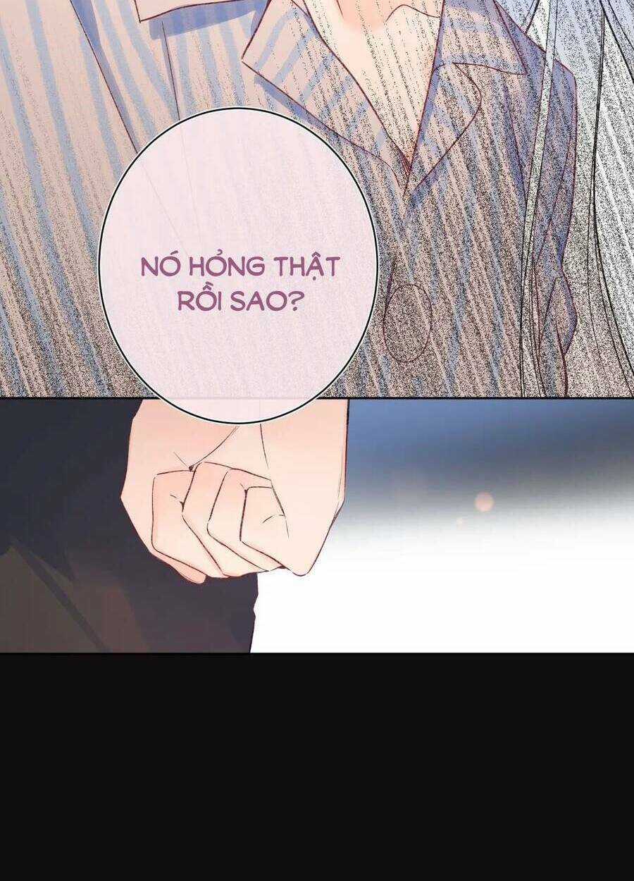 Đừng Khóc - Chapter 99 - Trang 14