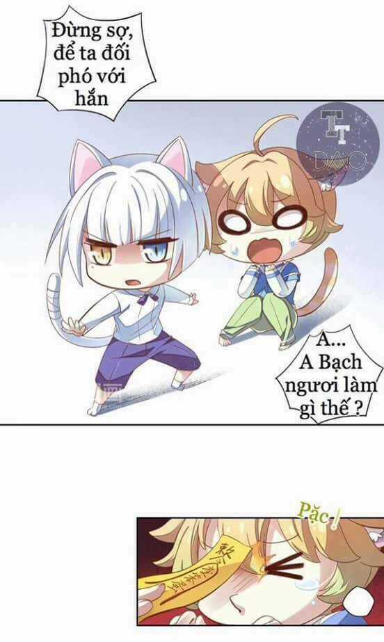 Dưới Móng Vuốt Mèo - Chapter 1 - Trang 12