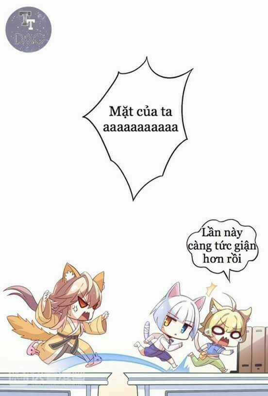 Dưới Móng Vuốt Mèo - Chapter 1 - Trang 17