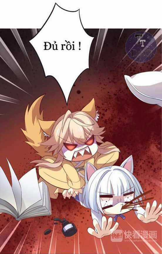 Dưới Móng Vuốt Mèo - Chapter 1 - Trang 20