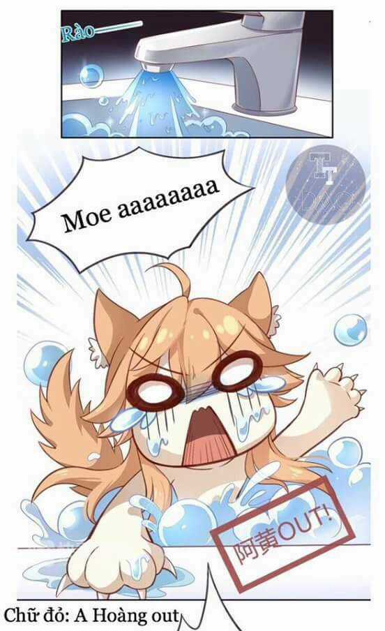 Dưới Móng Vuốt Mèo - Chapter 1 - Trang 25