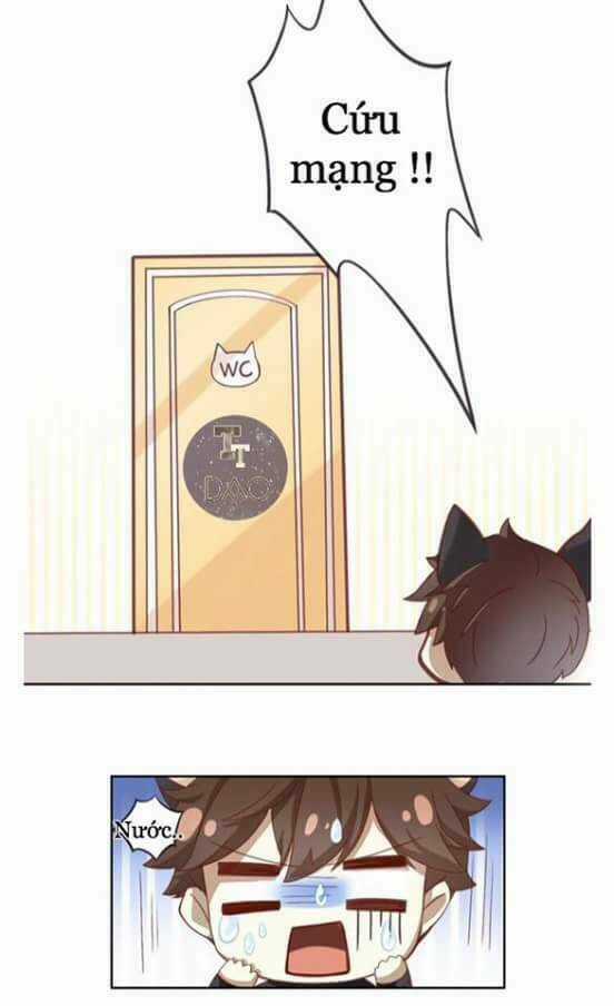 Dưới Móng Vuốt Mèo - Chapter 1 - Trang 26