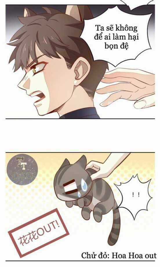 Dưới Móng Vuốt Mèo - Chapter 1 - Trang 28