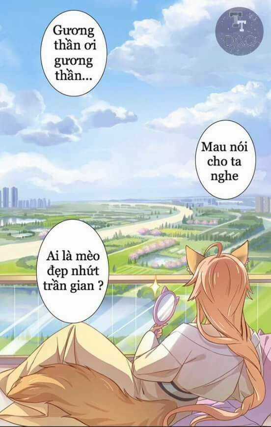 Dưới Móng Vuốt Mèo - Chapter 1 - Trang 4