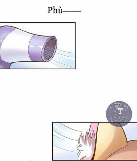 Dưới Móng Vuốt Mèo - Chapter 1 - Trang 31