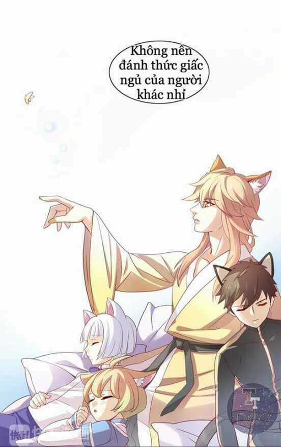 Dưới Móng Vuốt Mèo - Chapter 1 - Trang 37