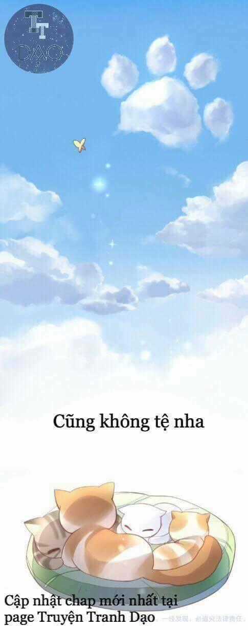 Dưới Móng Vuốt Mèo - Chapter 1 - Trang 39