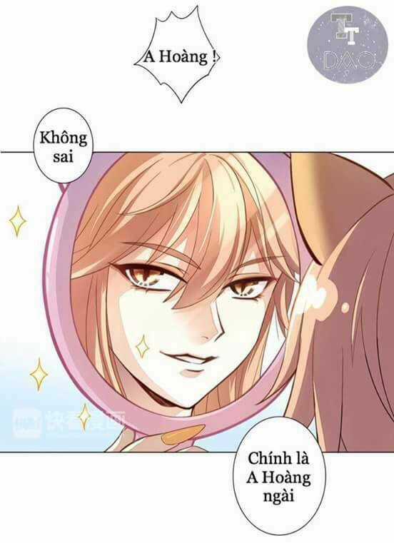 Dưới Móng Vuốt Mèo - Chapter 1 - Trang 5