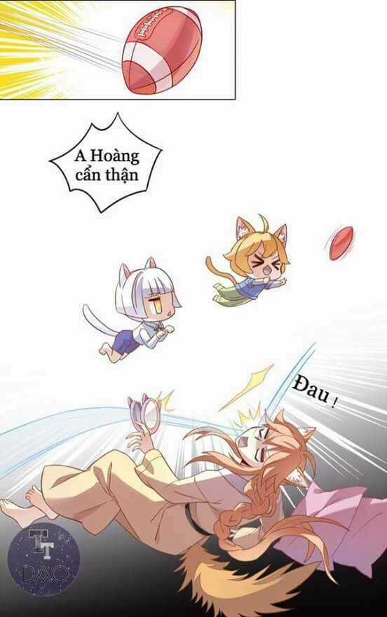 Dưới Móng Vuốt Mèo - Chapter 1 - Trang 6