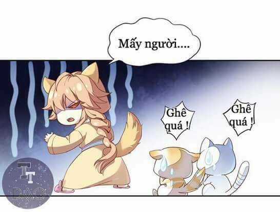 Dưới Móng Vuốt Mèo - Chapter 1 - Trang 9