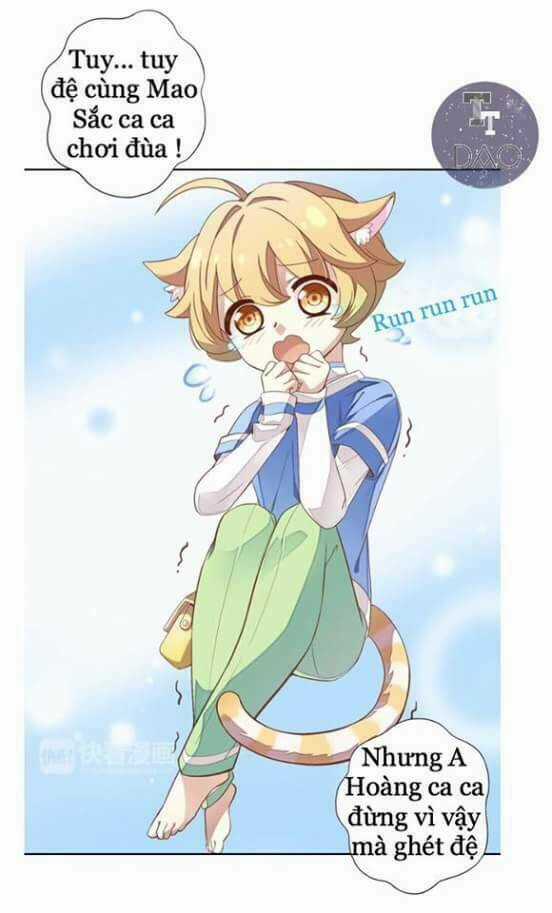 Dưới Móng Vuốt Mèo - Chapter 1 - Trang 10