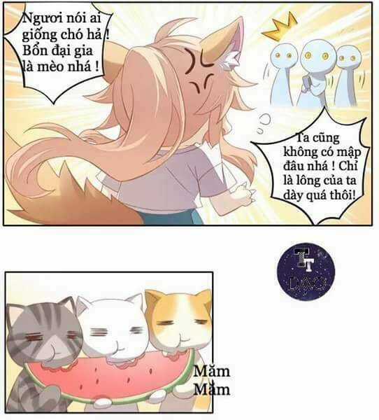 Dưới Móng Vuốt Mèo - Chapter 10 - Trang 11