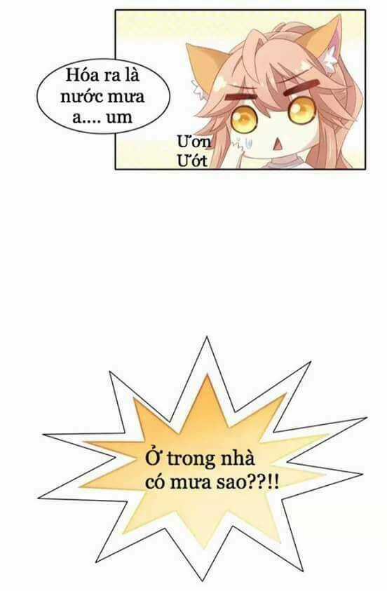 Dưới Móng Vuốt Mèo - Chapter 10 - Trang 19