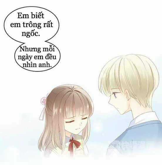 Dưới Móng Vuốt Mèo - Chapter 10 - Trang 24