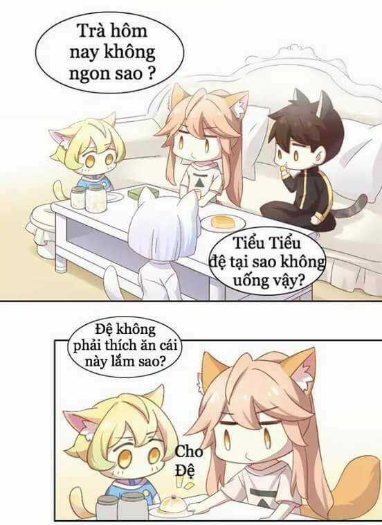 Dưới Móng Vuốt Mèo - Chapter 10 - Trang 28