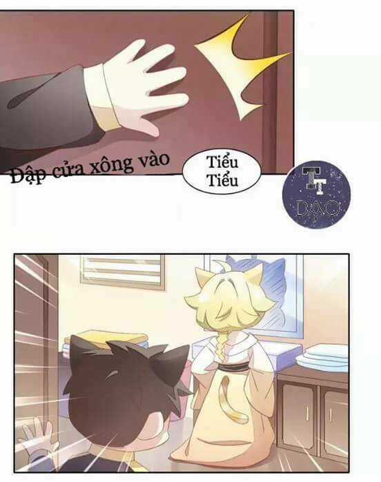 Dưới Móng Vuốt Mèo - Chapter 10 - Trang 4