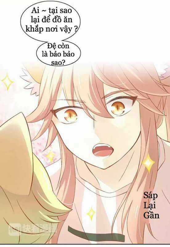 Dưới Móng Vuốt Mèo - Chapter 10 - Trang 31