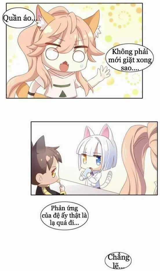 Dưới Móng Vuốt Mèo - Chapter 10 - Trang 34