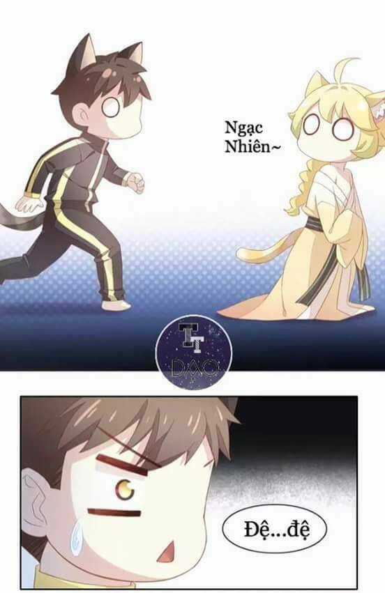 Dưới Móng Vuốt Mèo - Chapter 10 - Trang 5