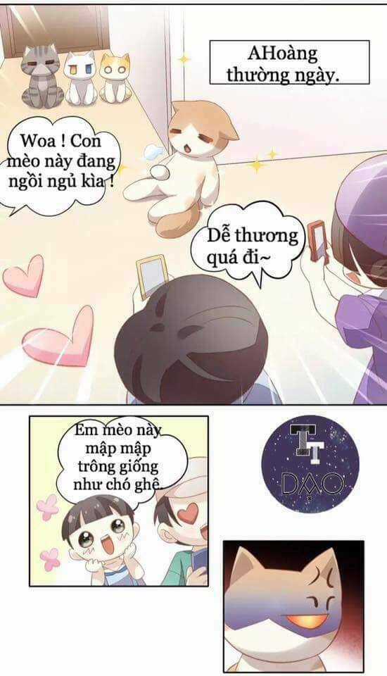 Dưới Móng Vuốt Mèo - Chapter 10 - Trang 10