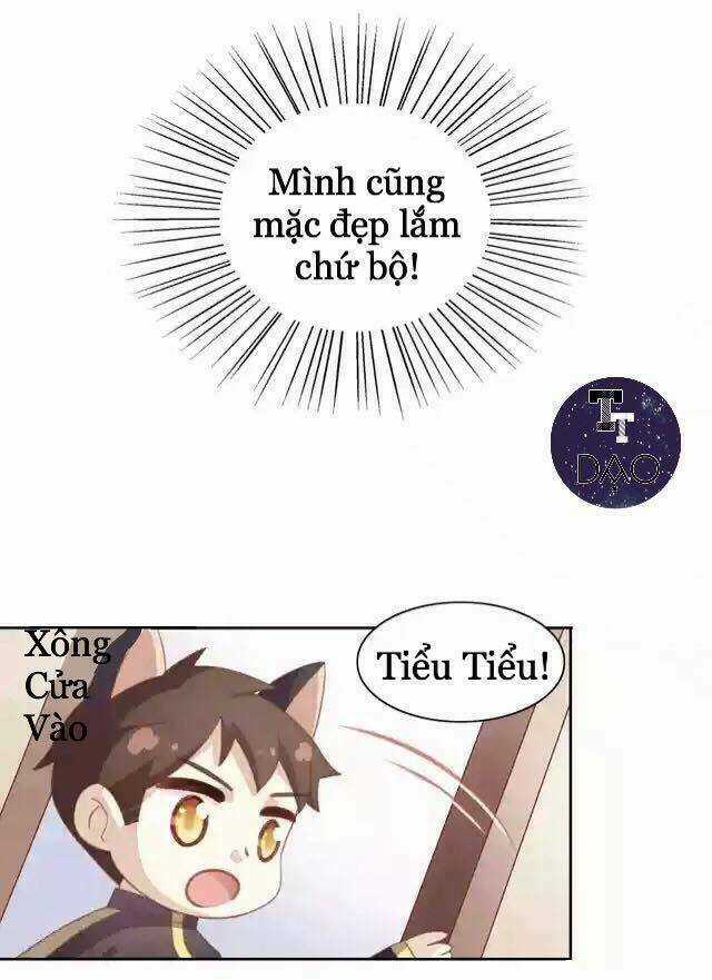 Dưới Móng Vuốt Mèo - Chapter 11 - Trang 11