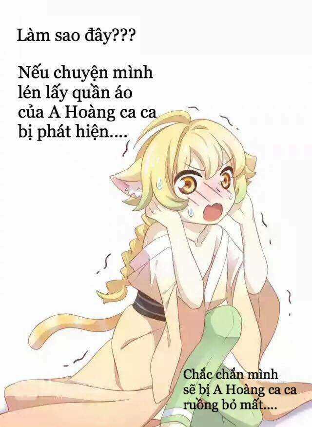 Dưới Móng Vuốt Mèo - Chapter 11 - Trang 16