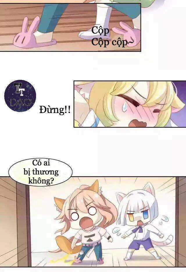 Dưới Móng Vuốt Mèo - Chapter 11 - Trang 17