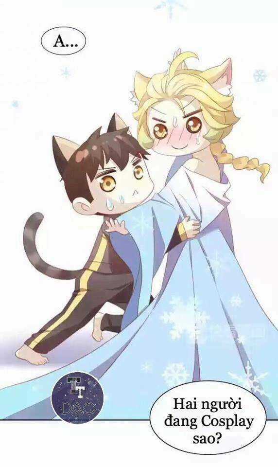 Dưới Móng Vuốt Mèo - Chapter 11 - Trang 19