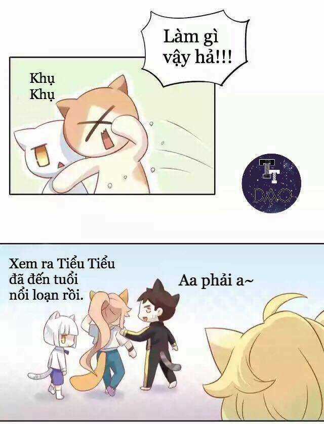 Dưới Móng Vuốt Mèo - Chapter 11 - Trang 24