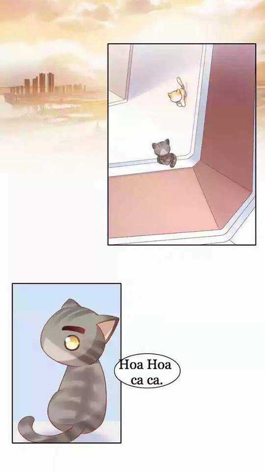 Dưới Móng Vuốt Mèo - Chapter 11 - Trang 27