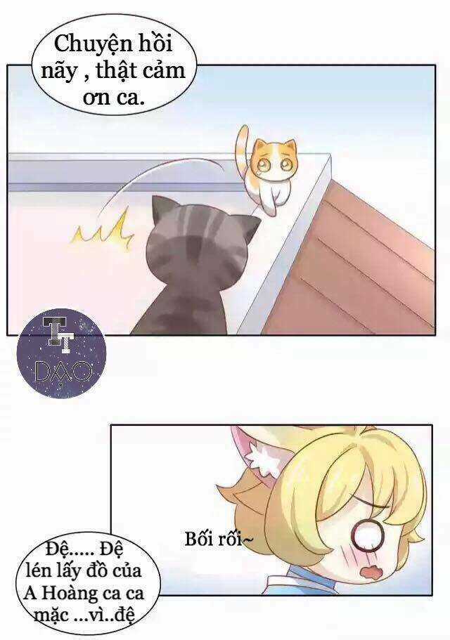 Dưới Móng Vuốt Mèo - Chapter 11 - Trang 28