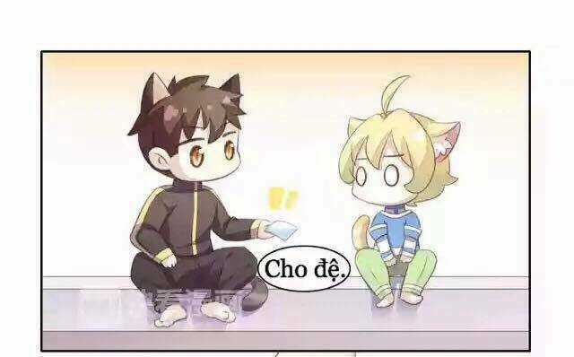 Dưới Móng Vuốt Mèo - Chapter 11 - Trang 29